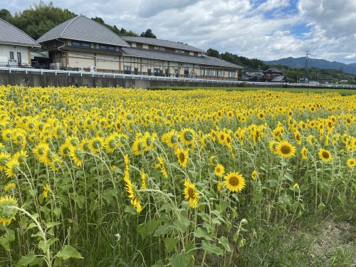 道の駅竜北