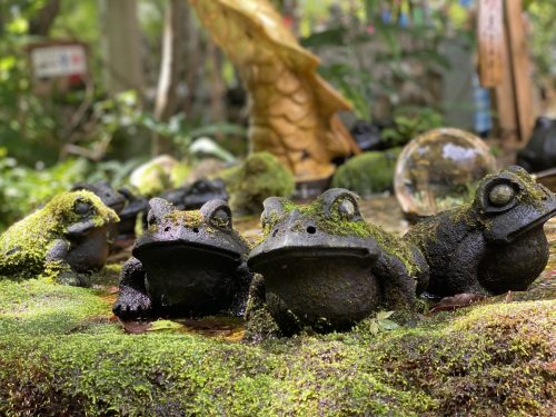 かえる寺