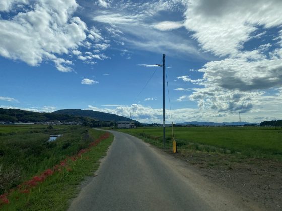 益城彼岸花街道