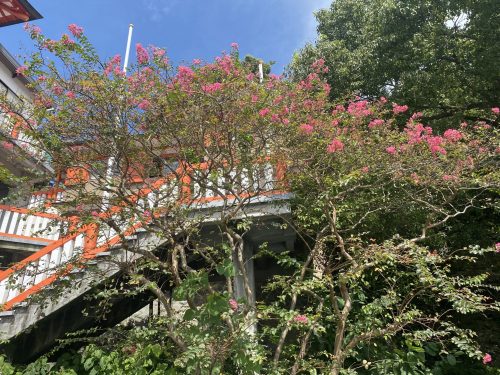 高橋稲荷神社