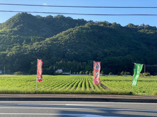 道の駅原鶴