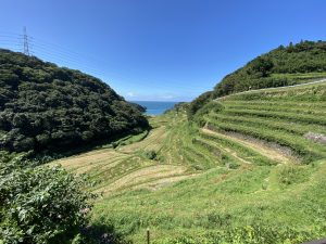 浜野浦の棚田