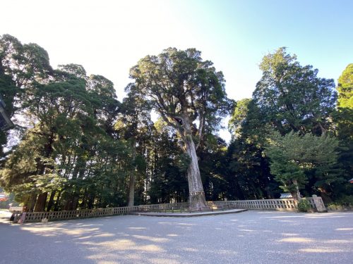 霧島神社