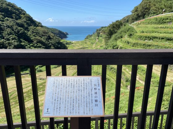 浜野浦の棚田