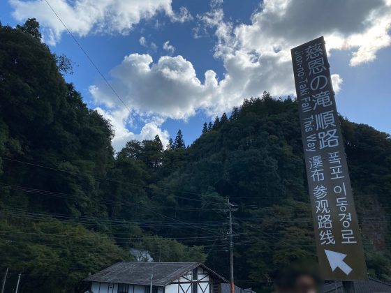 道の駅慈恩の滝くす