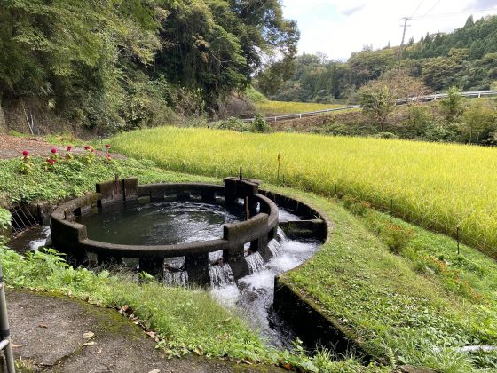 円形分水