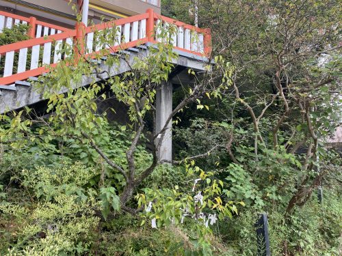 高橋稲荷神社