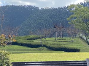 道の駅酒谷