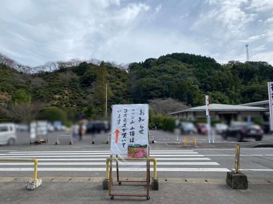 祐徳稲荷神社