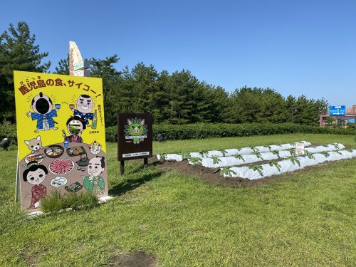 道の駅桜島