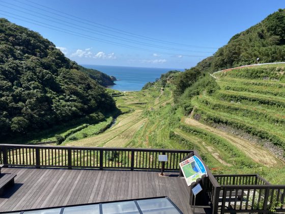 浜野浦の棚田