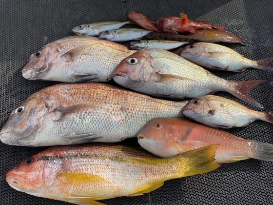 魚釣り