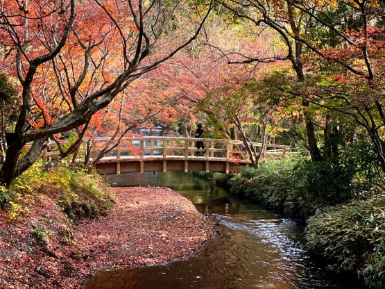 湯布院