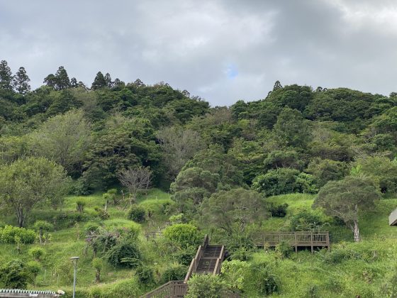 道の駅フェニックス