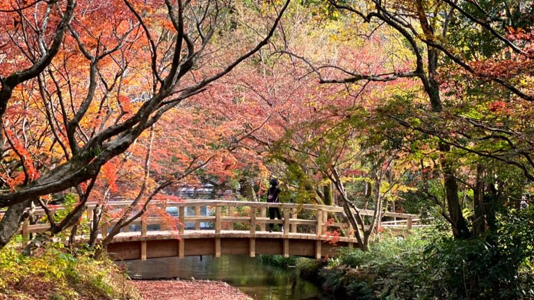 湯布院