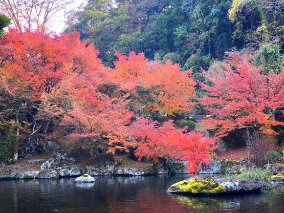 渓石園