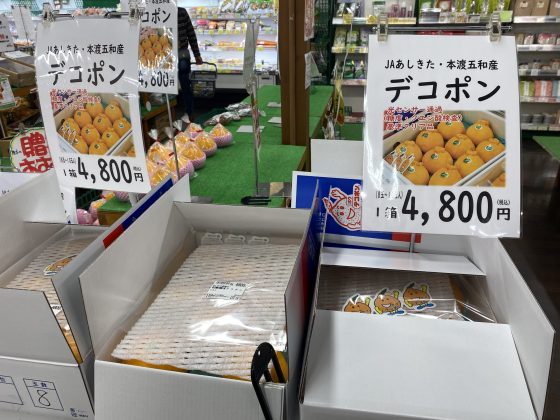 道の駅すいかの里植木