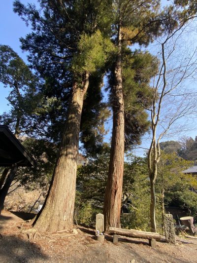 黒川温泉