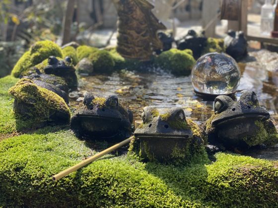 かえる寺