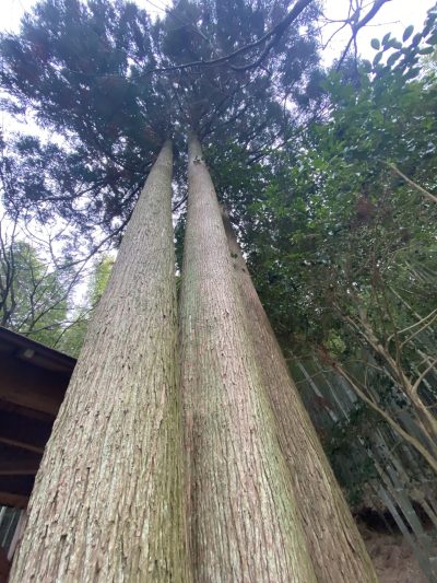 峠の茶屋