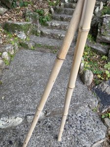 西平椿公園