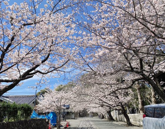 本妙寺