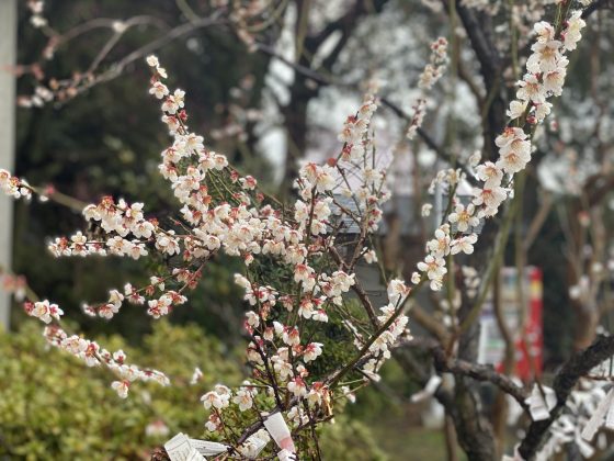 高橋稲荷神社