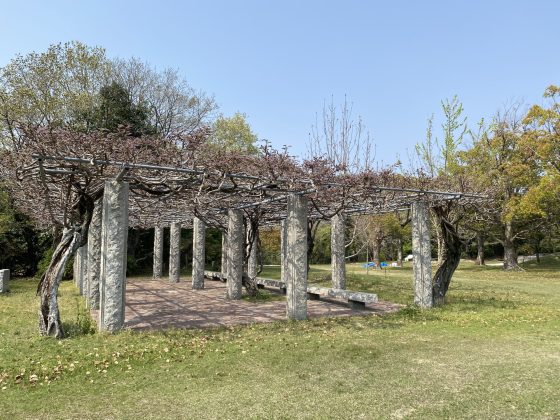 蓮華院誕生寺