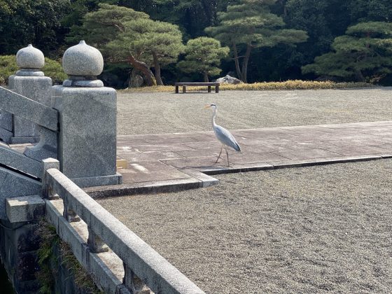 蓮華院誕生寺