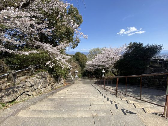 本妙寺