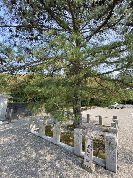 蓮華院誕生寺