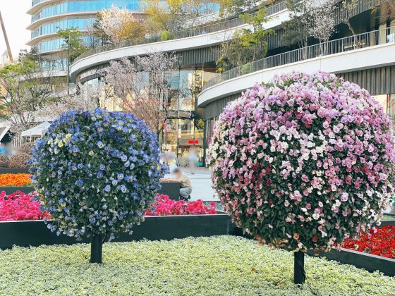 くまもと花と緑の博覧会