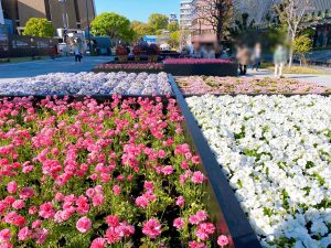 くまもと花とみどりの博覧会