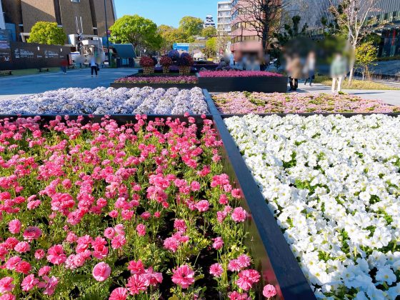 くまもと花とみどりの博覧会