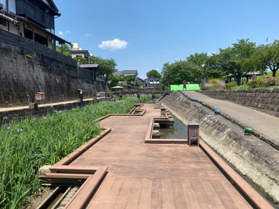 高瀬裏川花しょうぶ祭り