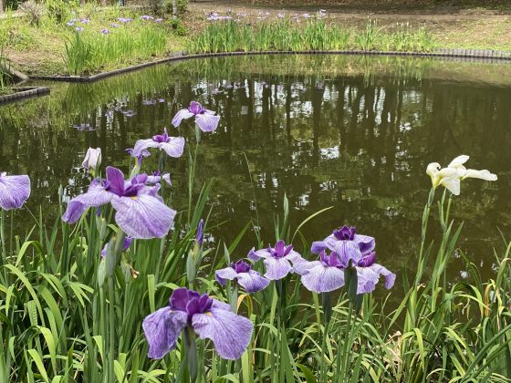 立岡自然公園