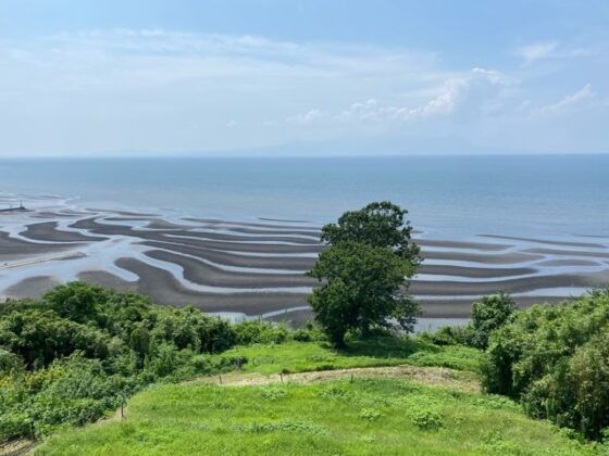 御輿来海岸展望所