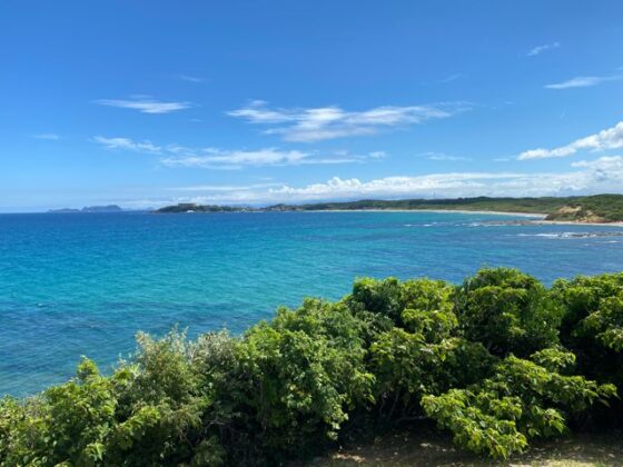 夏井ヶ浜はまゆう公園