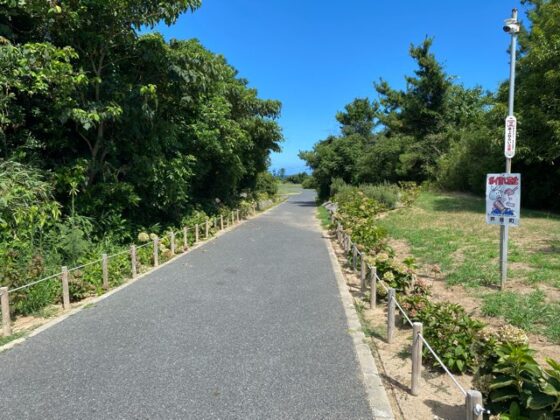 夏井ヶ浜はまゆう公園