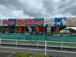 道の駅おおとう桜街道