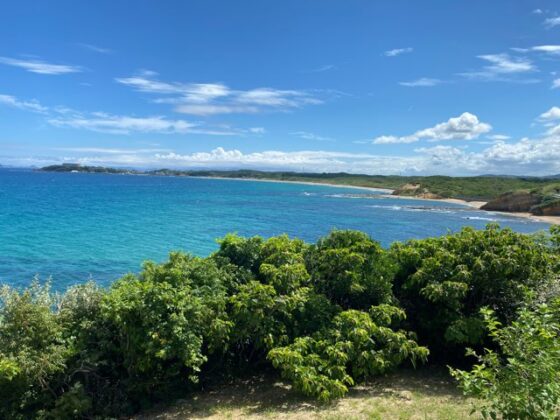 夏井ヶ浜はまゆう公園