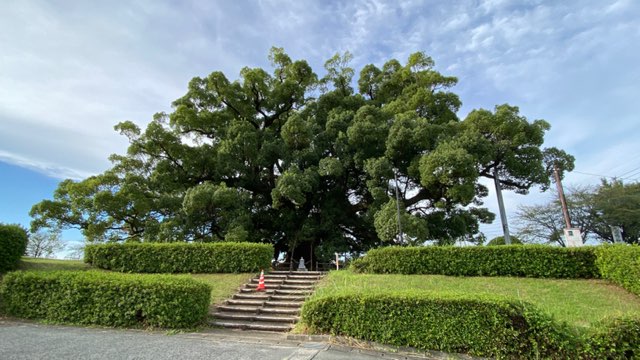 寂心さんのクス