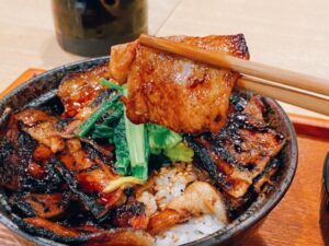 吾輩は虎である