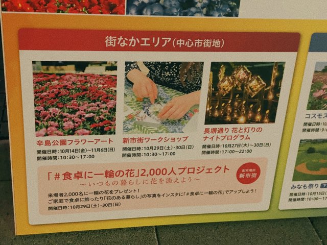 花と灯りのナイトプログラム