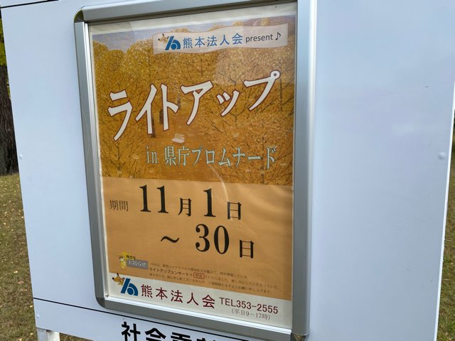 県庁プロムナード