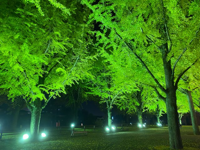 県庁プロムナード