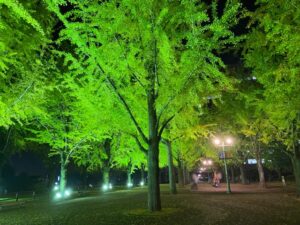 県庁プロムナード