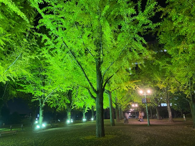 県庁プロムナード