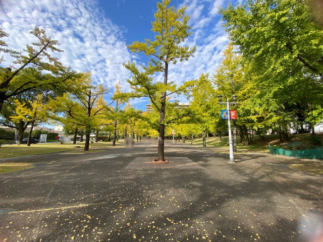 県庁プロムナード