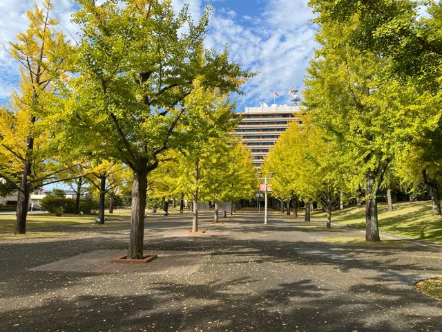 県庁プロムナード